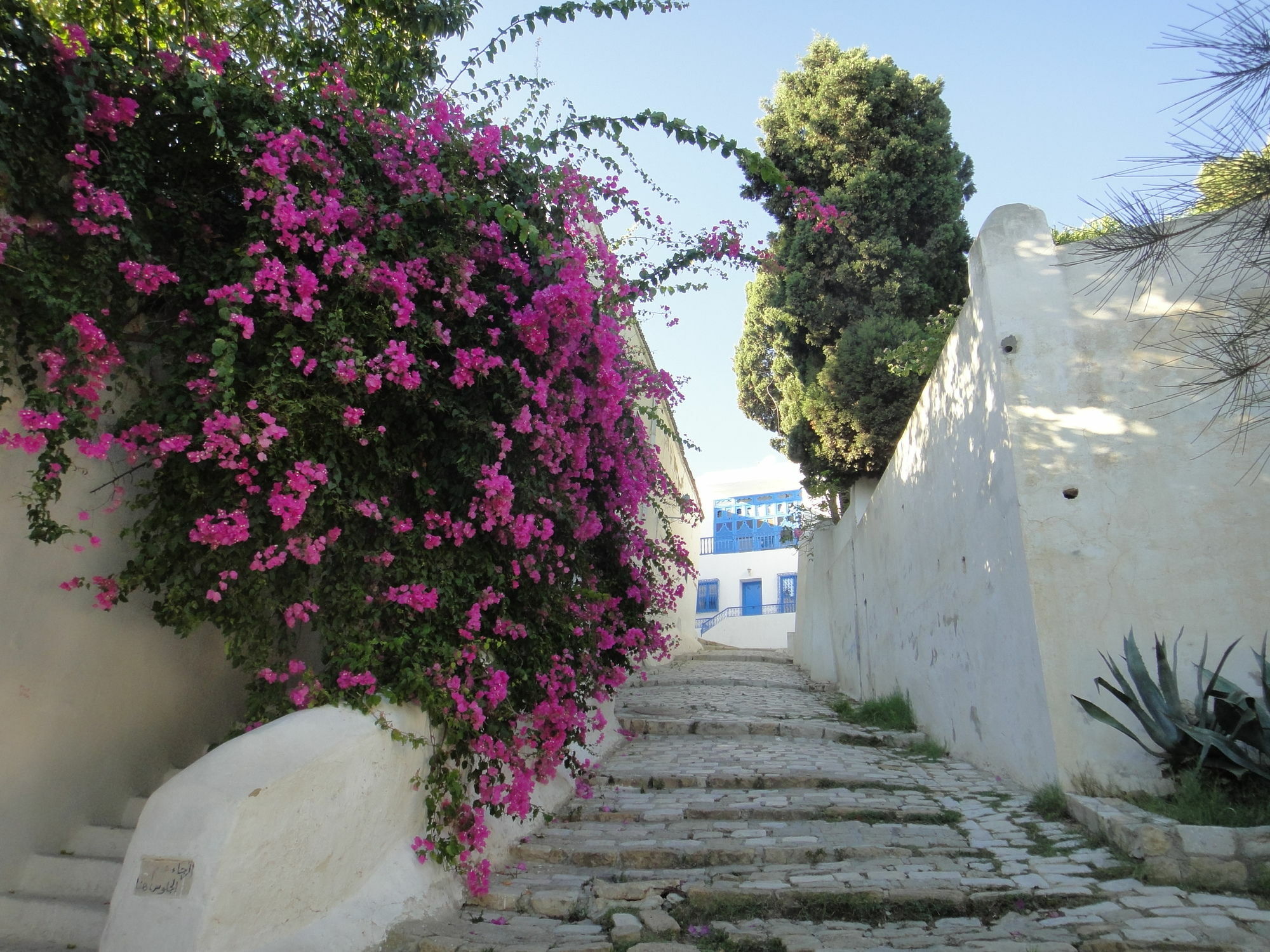 Bed and Breakfast Dar El Fell (Adults Only) Sidi Bou Ali Exteriér fotografie